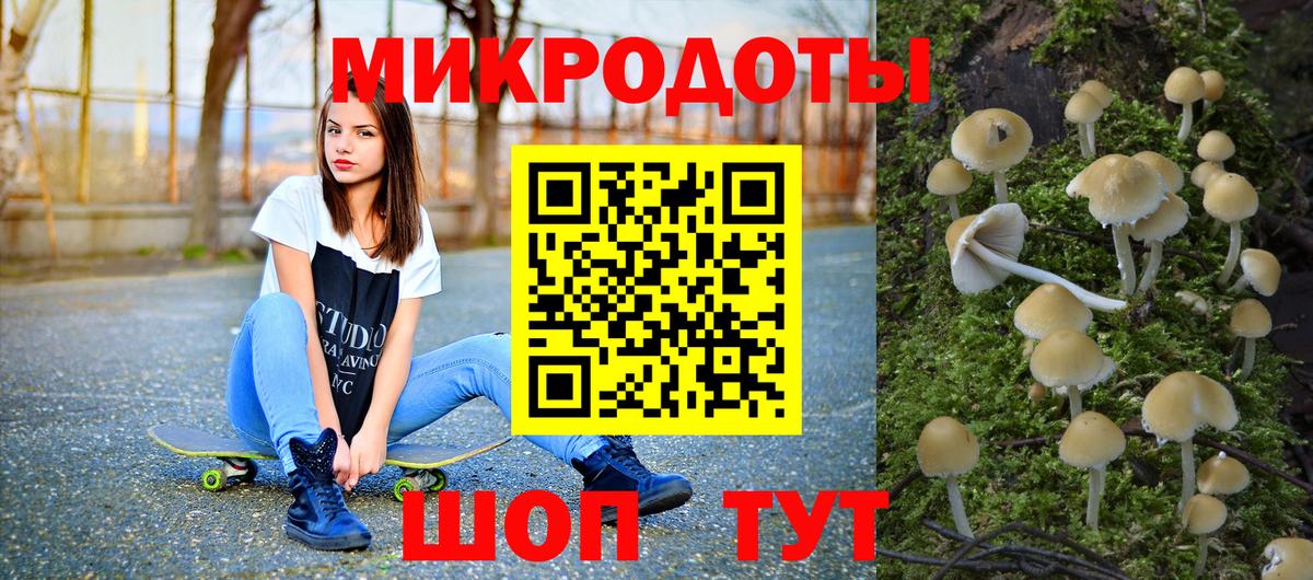 Псилоцибиновые грибы MAGIC MUSHROOMS  сколько стоит  Вход с VPN  Донской  Галлюциногенные грибы Psilocybine cubensis 